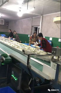 消毒餐具厂卫生乱象调查 食物残渣堆积、手套污浊，所谓“消毒”服务存隐患