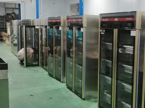 南宁市消毒柜 创联工厂直销终端，引领高温消毒服务新标杆